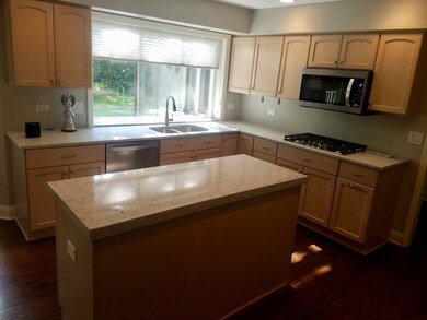 2029 Dichtl Ct, Naperville, IL 60565 - photo 4