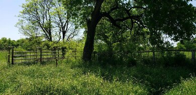 14355 Liberty School Rd, Azle, TX 76020 - photo 4