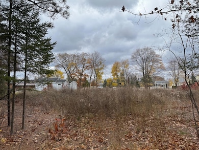 Lots 2 & 3 W Etherington St, MacKinaw City, MI 49701 - photo 6