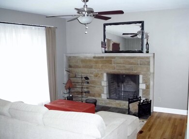 Living room and log fireplace