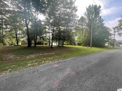 000 Easy St, Chatham, LA 71226 - photo 2