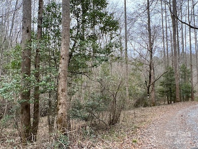 00 Collettsville Rd unit 9, Collettsville, NC 28611 - photo 7