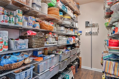 ..... THEE custom Pantry!  (You 'Container Store' fans will recognize some of those awesome bins:)