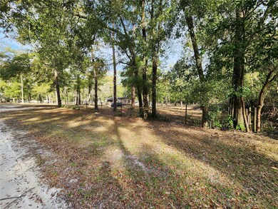 3993 284th Terrace, Branford, FL 32008 - photo 3