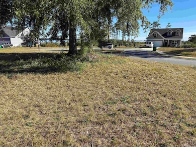 Lot 161 Seaport Cir, Georgetown, SC 29440 - photo 7