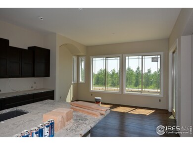 5976 Sunny Crest Dr, Timnath, CO 80547 - photo 5