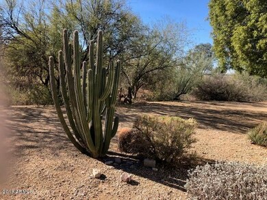 Front yard View