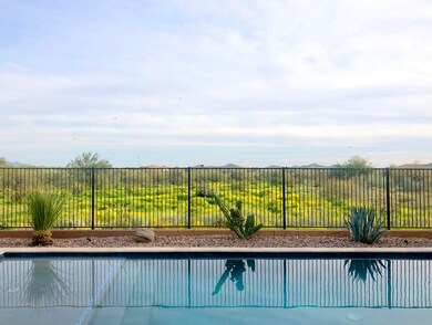 Long Landing - Backyard