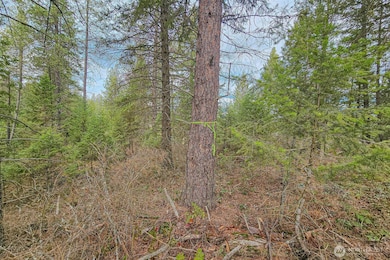 4700 E Deer Park Milan Rd, Chattaroy, WA 99003 - photo 6