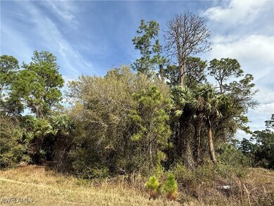 View of local wilderness