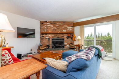 31 Farm Rd unit C2, Peru, VT 05152 - photo 4