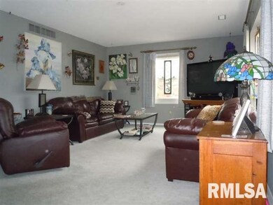 115 Allison Dr, Lincoln, IL 62656 - photo 2