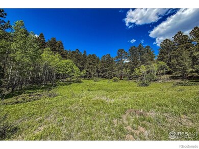 18673 State Highway 7, Lyons, CO 80540 - photo 6