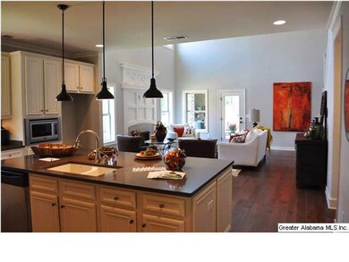 Huge island, silestone counter tops and pendent li