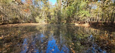 6 Acres N Broad St, Cowarts, AL 36321 - photo 3