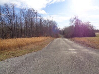 0 Eagle Loop unit 2223994, Loretto, TN 38469 - photo 3