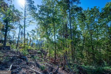 3875 Hwy 140 NE, Rydal, GA 30171 - photo 7