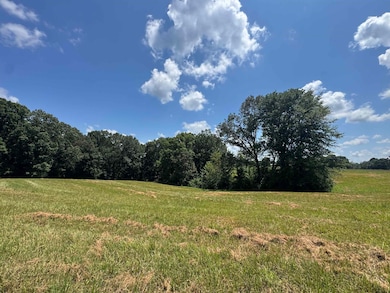 15ACRES Monk House Rd, Somerville, TN 38068 - photo 4