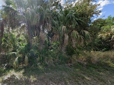 3519 Allapatchee Dr, Punta Gorda, FL 33950 - photo 4