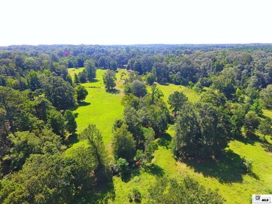 226 Carter Rd, Calhoun, LA 71225 - photo 7