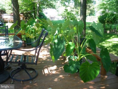 9146 Burke Rd, Burke, VA 22015 - photo 4