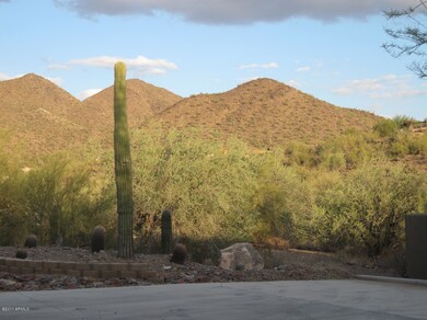 McDowell Mountain views