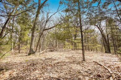 220419 1.00pm Dodge Vacant Land 60t Phot