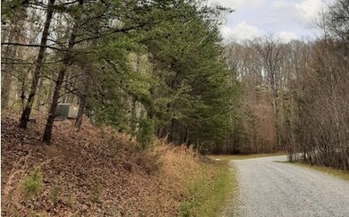 LT 21 Logan Dr, Mineral Bluff, GA 30559 - photo 3