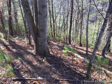Powder Horn Mountain Construction Guidelines