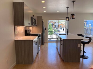 180 Metz Ln unit 1307, Durango, CO 81301 - photo 5