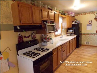 Lots of Cabinet/Counter Space Separate Pantry
