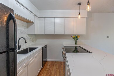 1851 Florida Rd unit 103, Durango, CO 81301 - photo 3