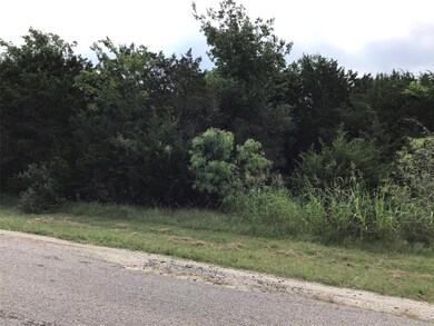 39341 Cedar Trail, Whitney, TX 76692 - photo 3