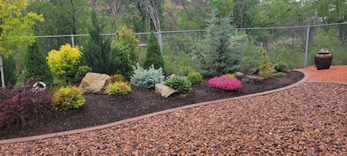 7_Back yard 2