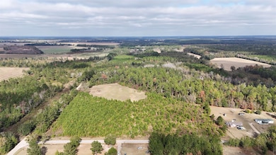 Vacant Cox Rd, Quincy, FL 32351 - photo 2