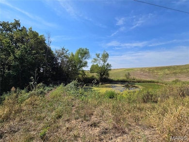 19867 Highway C, Unincorporated, MO 63775 - photo 6