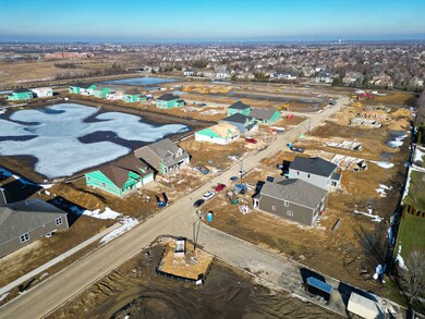 115 Ellis Rd, Algonquin, IL 60102 - photo 2