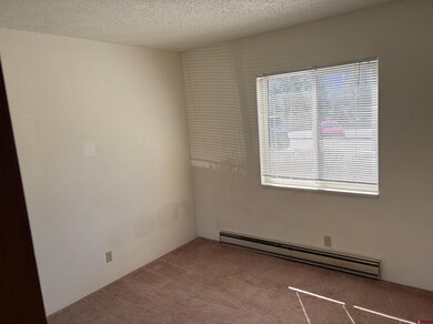 34237 U S 550 unit 12, Durango, CO 81301 - photo 4