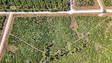 625 Trinity Trail, Lovelady, TX 75851 - photo 3