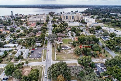 415 N Sinclair Ave, Tavares, FL 32778 - photo 4