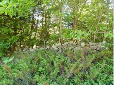 0 Route # 124~buckfield Rd unit 1141549, Hebron, ME 04238 - photo 3