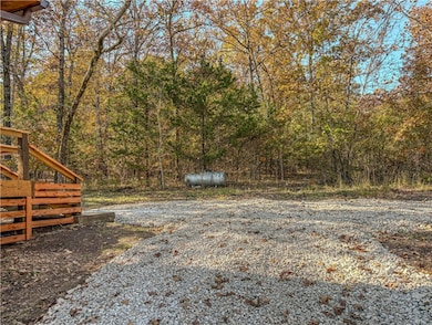 1113 Thousand Oaks Dr, Yellville, AR 72687 - photo 6