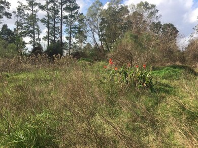 15859 Woodhollow Dr, Conroe, TX 77385 - photo 6