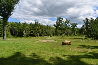 large backyard