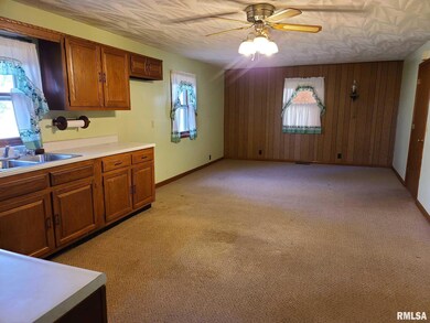 2059 Lair Rd, Ashland, IL 62612 - photo 5