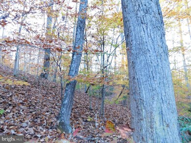 0 Reci Ln unit VAOR136038, Locust Grove, VA 22508 - photo 6