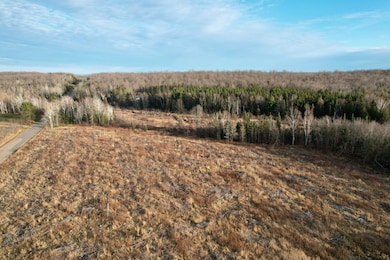 10 Acres Cth N, Crandon, WI 54511 - photo 3