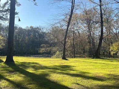 41 Mendel Ct, Round O, SC 29474 - photo 3