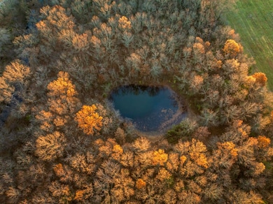 000 NW County Road 2501, Butler, MO 64730 - photo 7