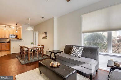 Silverton Condominiums, Silver Spring, MD 20910 - photo 5